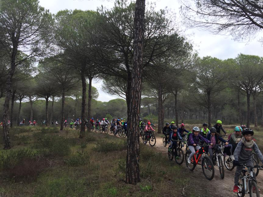 El Ayuntamiento de Cartaya organiza, con la colaboración de los centros escolares, el 'Día de la Bicicleta'.