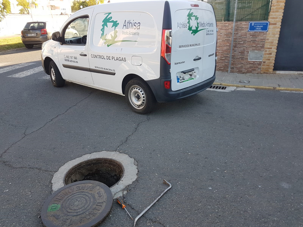 El Ayuntamiento de Cartaya actúa contra las ratas, en el marco de su planificación actual para el control de las plagas urbanas.